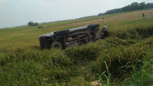 Mobil Patwal Pol PP Lamsel Terjungkal Di Area Sawah Warga