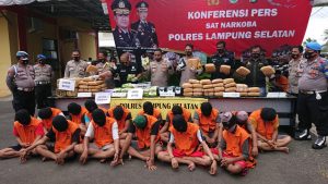 Di Bulan Oktober, Sat Narkoba Polres Lamsel Berhasil Amankan 15 Tersangka