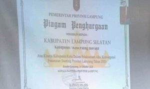 Dinilai Inovatif turunkan Angka Stunting, Pemkab Lamsel Raih Penghargaan
