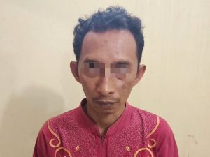 Pelaku Percobaan Pemerkosa Ibu Rumah Tangga  di Bekuk Aparat Polsek Tanjung Bintang