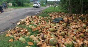 DLH Lampung Selatan Minta UPT Pasar Himbauan Pedagang Agar Buang Sampah Pada Tempatnya