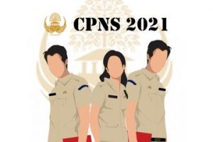 Pendaftar CPNS Di Lamsel Sudah Mencapai 3.446  Orang