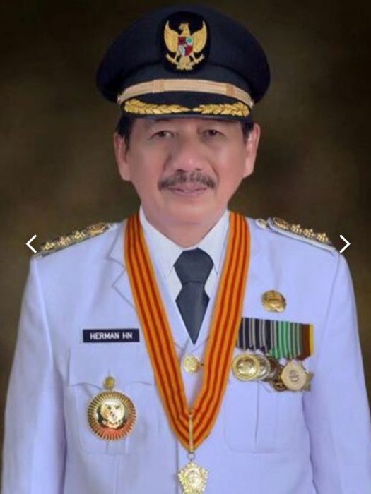Herman HN Diberi Waktu Sebulan Susun Pengurus DPW Partai Nasdem Lampung