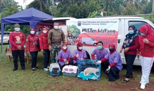 Disnakeswan Siapkan Mobil Keliling Pelayanan Vaksin Hewan