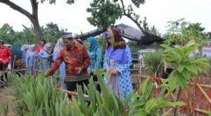 Tim Pengerak PKK Pesisir Barat Kunjungi Swasembada Gizi Desa Pasuruan