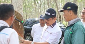 PTPN VII Terapkan Pola Premi Memacu Produktivitas Pendapatan 