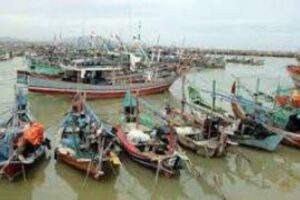 Pemprov Ambil Alih Tata Kelola Pengelolaan Pelabuhan Pendaratan Ikan di Lamsel