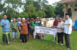Hari Raya Idul Adha 1444H, PTPN VII Kurban 100 Ekor Hewan 