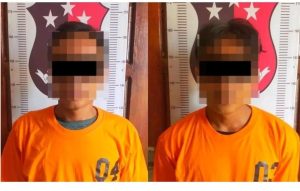 Polsek Blambangan Umpu Amankan Dua Pelaku Curi Tandan Buah Kelapa Sawit di PT. AKG Sungsang