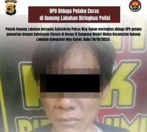 DPO Diduga Pelaku Curas di Gunung Labuhan Diringkus Polisi 