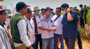 Konstatering Lahan PTPN VII, PN Blambangan Umpu Salah Lokasi Letak Tanah