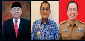 Ini Kata Pengamat Soal Tiga Kandidat Calon Pejabat Bupati Lampura 