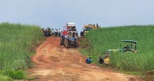 Eksekusi “Kucing-Kucingan” ala Pengadilan Negeri Blambangan Umpu di lahan PTPN VII