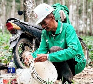 FKPPIB Gelar Lomba Fotografi “Pesona Perkebunan Nusantara”