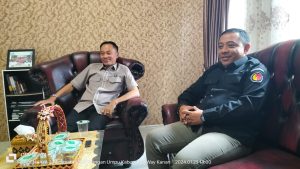 Strategi Bawaslu Kabupaten Waykanan Dalam Menangani Tindak Pidana Pemilu