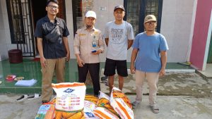 Kelompok Tani Kampung Gunung Baru Terima Bantuan Bibit Jagung dari Pemerintah