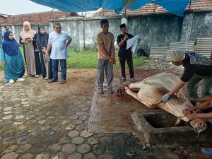 PTPN I dan KSO PTPN IV Reg.7 Potong 153 Hewan Kurban