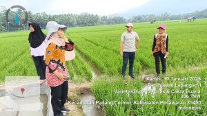 CV Karya Sentoasa Makmur Akan Dukung Ketersediaan Benih Padi Nasional