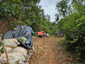 Polres Waykanan Hanya Tertibkan Aktivitas Tambang Emas Ilegal di Bukit Jambi, Tidak Berani Tangkap Pelaku