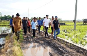 Bupati Egi Turun ke Sawah! Janji Tuntaskan Jalan Tani yang Terbengkalai Puluhan Tahun