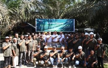 Koperasi Makarti Jaya Raih Sertifikasi RSPO Pertama di Holding Perkebunan Nusantara