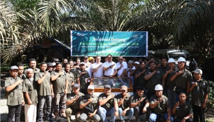 Koperasi Makarti Jaya Raih Sertifikasi RSPO Pertama di Holding Perkebunan Nusantara