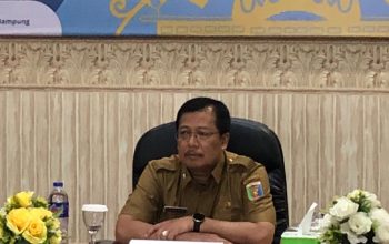 Wamendagri Apresiasi Daerah  Kendalikan Inflasi, Pemprov Lampung Siap Optimal