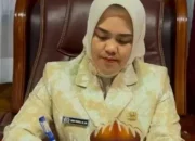 Soal Pergantian Pejabat Kepala OPD, Ketua DPRD Lampung Selatan Erna Yusneli Dukung Kebijakan Bupati