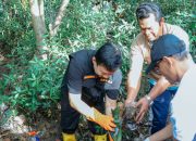 Pemprov Lampung bersama Pemkot Bandarlampung Gelar Gerakan Bersih-Bersih Serentak di Pulau Pasaran