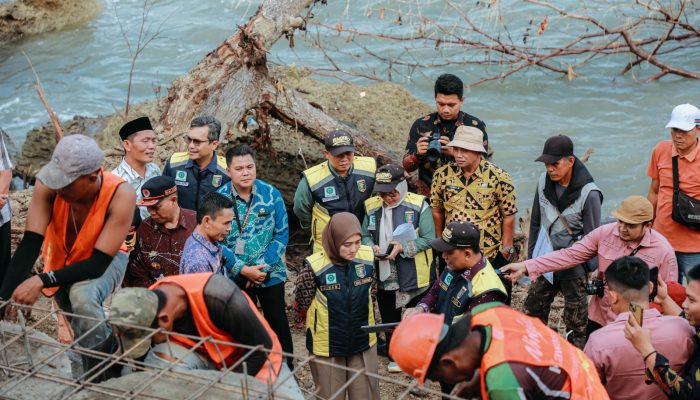 Pastikan Kelancaran Akses Jalan Akibat Longsor, Wagub Jihan Nurlela Tinjau Progres Perbaikan Ruas Jalan Provinsi Simpang Umbar–Putih Doh di Tanggamus