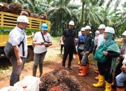 Tepis Stigma Negatif, Mahasiswa IPB Cek Langsung Kelapa Sawit Berkelanjutan PTPN IV Palmco