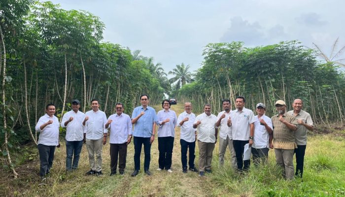 PTPN Siapkan 10.000 Ha Lahan Bioetanol untuk Budidaya Singkong di Lampung dan Sumsel